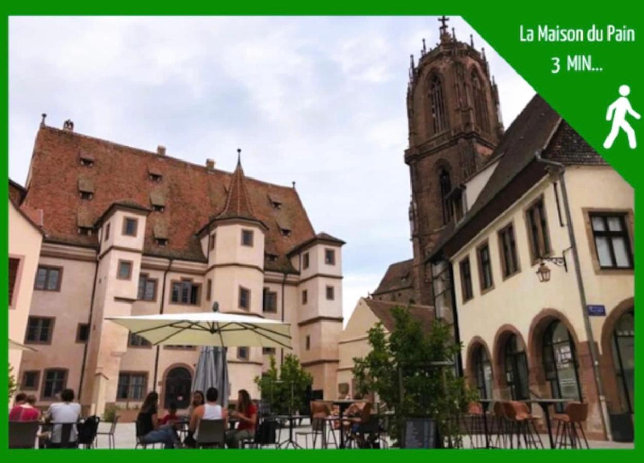 La Parenthese Alsacienne Au Coeur De Selestat Apartment Ngoại thất bức ảnh